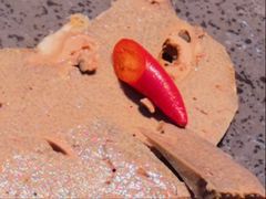 -诺敏塔拉奶茶—布里亚特包子-手把肉(满洲里店)