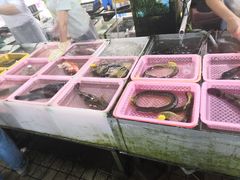 -大湾区中央湿地公园-十九涌