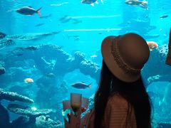 -长鹿旅游休博园