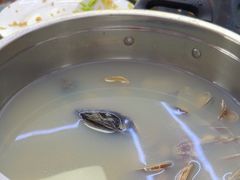 -阿军排档·烧烤