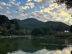 -广州市帽峰山景区