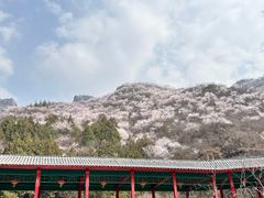 -妙峰山风景名胜区