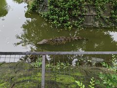 -深圳野生动物园