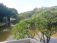 -广州雕塑公园