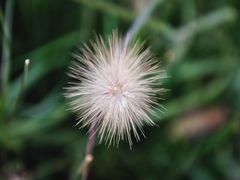 -北海金昌开元名都大酒店·四季轩中餐厅