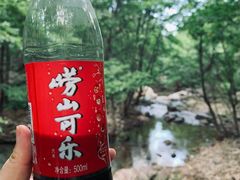 -小麦岛公园