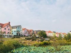 -大塘金香草谷