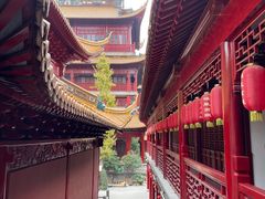 -钦赐仰殿道观