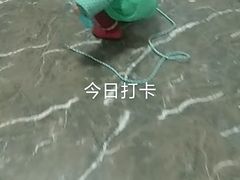 -卓跃儿童运动馆·体能·跳绳·篮球(滨江东中心店)