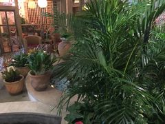 -润园四季椰子鸡火锅(海上世界店)