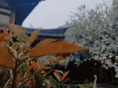 -大唐博相府酒店·陕西官府菜