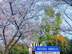 -堤角公园