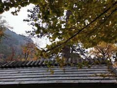 -北京上方山国家森林公园