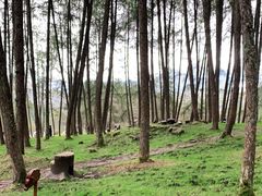 -硗碛藏寨·神木垒景区