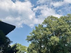 -南山植物园