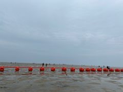 -北海金海湾红树林生态旅游区