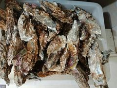 -宾朋海鲜特色美食餐厅·纯手工鲅鱼水饺(兴海路店)