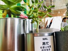 -Green Option(官舍店)