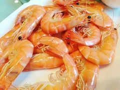 -楚灶王(徐东店)