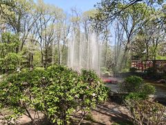 -沈阳植物园