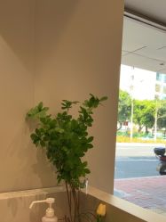 -美莱医疗美容医院