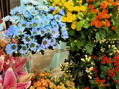 -光启城时尚购物中心