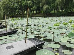 -柯岩风景区
