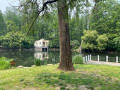 -上海共青森林公园