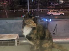 -午月海鲜烧烤酒店(不老街店)