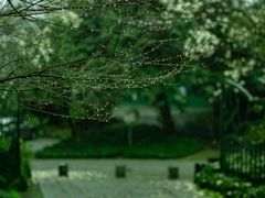-杭州植物园