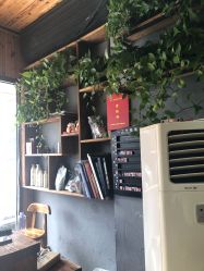-MX 造型