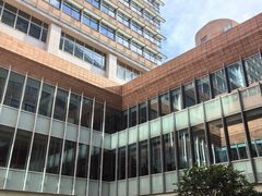 -香港大学