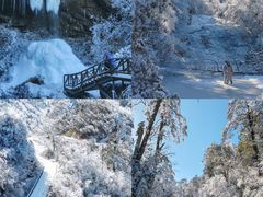 -龙苍沟森林公园
