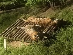 -大连森林动物园