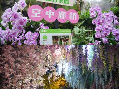 -正佳雨林生态植物园