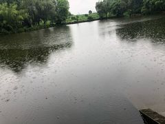 -邓小平故里