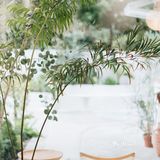 与植物生活在一起Ning's 