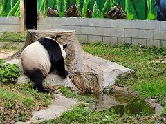 -南昌动物园