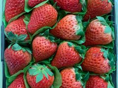 -百果园(文庄路店)