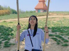 -杭州湾海上花田景区