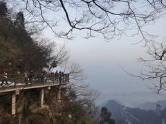 -张家界天门山国家森林公园