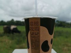 -瑞穗牧场