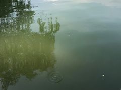 -食膳公园包子铺(烈士公园店)