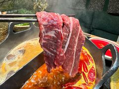-大龙燚·旷野鲜火锅(广州首店)