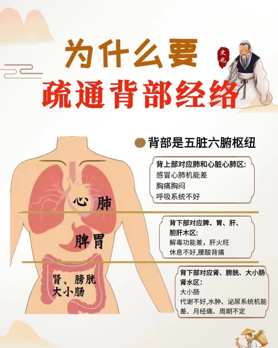 肾经位置图和作用图片