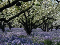 -江苏三台山国家森林公园