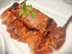 -圆苑(静安寺店)