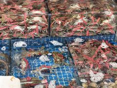 -霞涌市场海鲜摆卖区