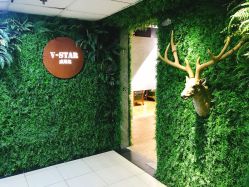 -V-STAR威斯达•高级私人定制