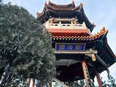 -龙口南山旅游景区